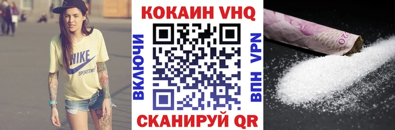 COCAIN Fish Scale  как найти закладки  Петропавловск-Камчатский 