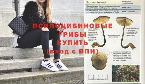 эйфоретик Волосово