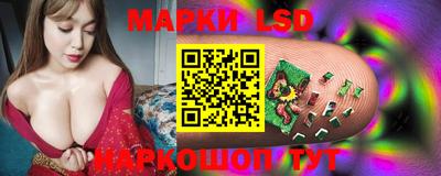 СК Можга