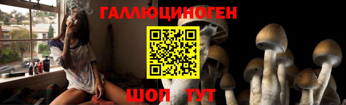 Петропавловск-Камчатский  Псилоцибиновые грибы мицелий  Галлюциногенные грибы GOLDEN TEACHER  Вход с VPN 
